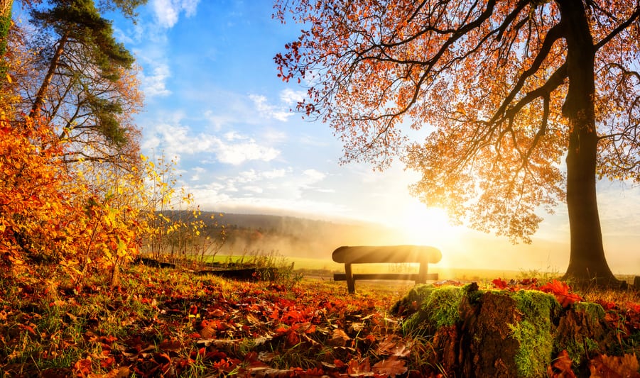Herbstferien und Zeit für LRS- und Dyskalkulie-Testungen