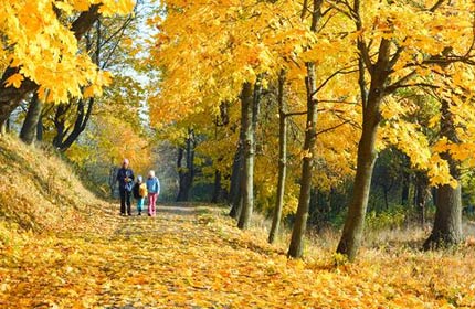 Familienausflug mit der Familie im Herbst
