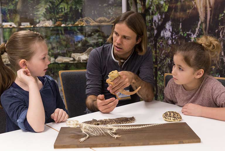 Studienkreis - Lernen in den Ferien - Tierpark