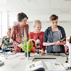 MINT-Schulen und MINT-freundliche Schulen