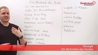 Merkmale eines Hundes