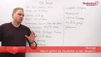Ist eine Katze ein Säugetier?