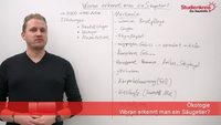 Was sind Säugetiere?