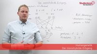 Monohybrider Erbgang: Erklärung und Beispiel