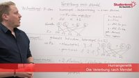 Die 3 Mendelschen Regeln der Vererbung