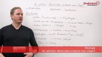 Merkmale von Vögeln